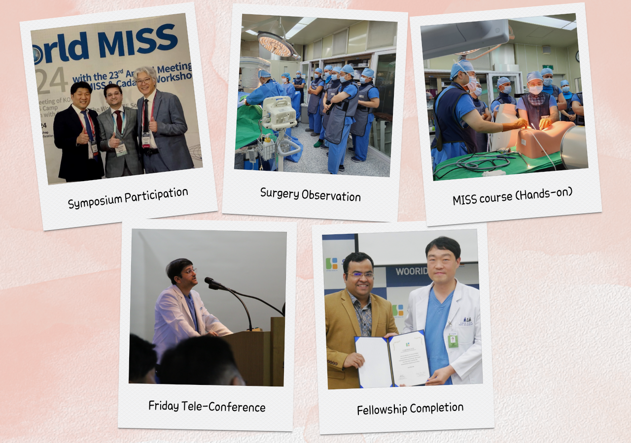 Fellowship Course